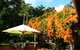 African Cottage, The Rondawel, Kalahari Cottage And Cape Cottage - thumb 0